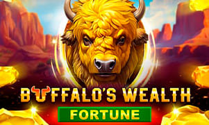 Buffalo's Wealth Fortune